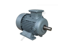 Evaporatif Soğutma Elektrik Motoru 1,5 kW-380V