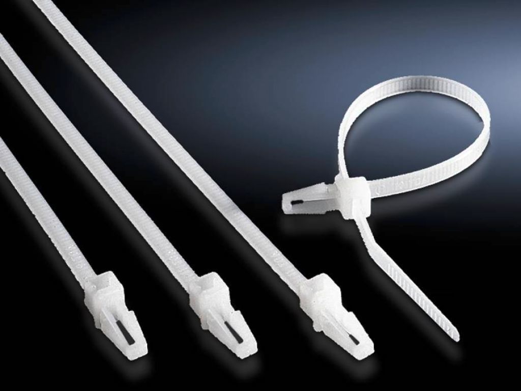 Rittal SZ 2597000 Kablo bağlayıcı 150mm